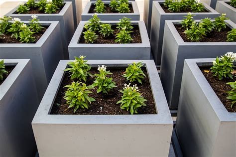 modern planter boxes transparent